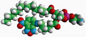 Acyl 06:0 NBD PE 810134C-1MG