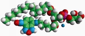 Acyl 06:0 NBD PG 810136C-1MG