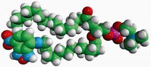 Acyl 12:0 NBD PC 810129P-1MG