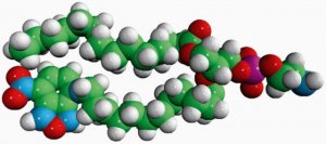 Acyl 12:0 NBD PE 810135C-1MG