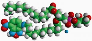 Acyl 12:0 NBD PG 810137P-1MG