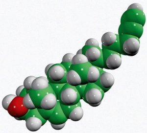 alkyne-cholesterol 