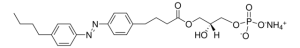 Azo Lyso PA 