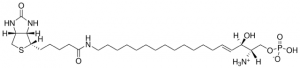Biotin S1P 860552P-100UG