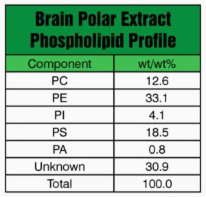 Brain Extract Polar 