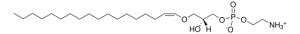 Brain Lyso PE 850095P-10MG