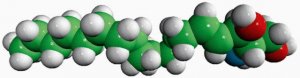 Brain Sphingosine 860025P-5MG