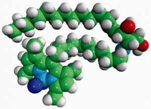 C11 TopFluor Ceramide 810262P-250UG