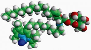 C11 TopFluor Glucosyl Ceramide 810267P-250UG