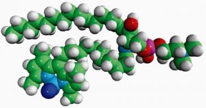 C11 TopFluor Sphingomyelin 810265P-250UG