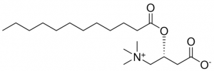 C12 Carnitine 870850P-5MG
