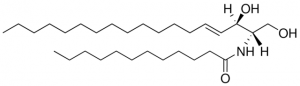 C12 Ceramide LM2212-1EA