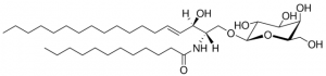 C12 Galactosyl() Ceramide (d18:1/12:0) 860544P-5MG