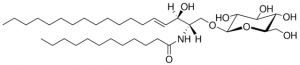 C12 Glucosyl() Ceramide (d18:1/12:0) 860543P-5MG