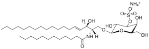 C12 Mono-Sulfo Galactosyl() Ceramide (d18:1/12:0) 860573P-1MG