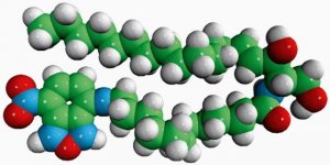 C12-NBD Ceramide 810211P-1MG
