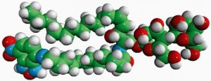 C12-NBD Lactosyl Ceramide 810227C-50UG