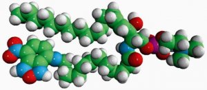 C12-NBD Sphingomyelin 810219P-1MG