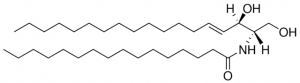 C16 Ceramide (d18:1/16:0) 