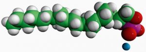 C16 Cyclic LPA 857225P-1MG