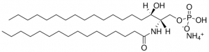 C16 Dihydroceramide-1-Phosphate (d18:0/16:0) 