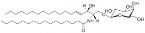 C16 Galactosyl() Ceramide (d18:1/16:0) 860521P-5MG