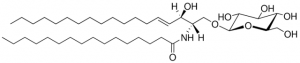 C16 Glucosyl() Ceramide (d18:1/16:0) 