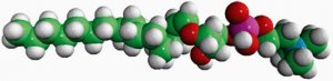 C16(Plasm) LPC 852464P-10MG