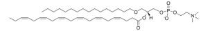 C16-22:6 PC 878124C-5MG