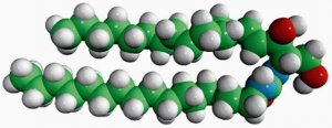 C16-Urea-Ceramide 857401P-1MG