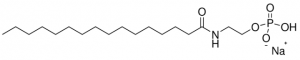 C16:0 anandamide phosphate 870436P-1MG