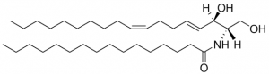 C16:0 Ceramide (d18:2(4E,8Z)/16:0) 860692P-1MG