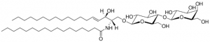 C17 Lactosyl() Ceramide (d18:1/17:0) 860595P-5MG