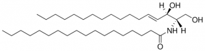 C18 Ceramide (d17:1/18:0) 