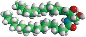 C18 Ceramide (d17:1/18:0) 
