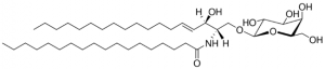 C18 Galactosyl() Ceramide (d18:1/18:0) 860844P-5MG