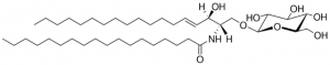 C18 Glucosyl() Ceramide (d18:1/18:0) 
