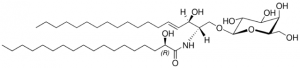 C18(2R-OH) Galactosyl() Ceramide 860840P-5MG