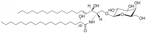 C18(2S-OH) Galactosyl() Ceramide 860841P-5MG
