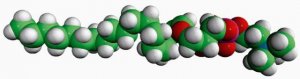 C18(Plasm) LPC 852465P-10MG