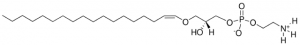 C18(Plasm) LPE 