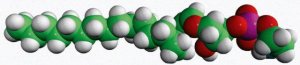C18(Plasm) LPE 