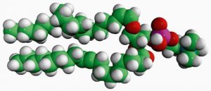 C18(Plasm)-18:1 PC 