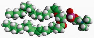 C18(Plasm)-20:4 PC 852469C-5MG
