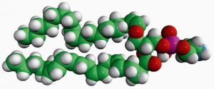 C18(Plasm)-20:4 PE 852804C-5MG