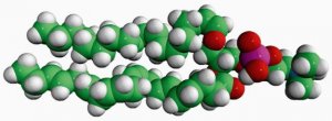 C18(Plasm)-22:6 PC 852472C-5MG