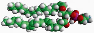 C18(Plasm)-22:6 PE 