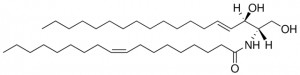 C18:1 Ceramide (d18:1/18:1(9Z)) 