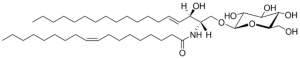 C18:1 Glucosyl() Ceramide (d18:1/18:1(9Z)) 860548P-5MG