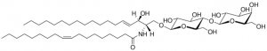 C18:1 Lactosyl() Ceramide (d18:1/18:1) 860590P-5MG